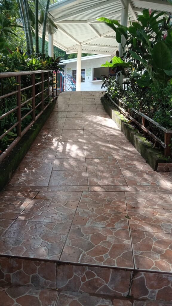 Un camino empedrado rodeado de vegetación, llevando a la entrada de la iglesia bautista, creando un ambiente acogedor.