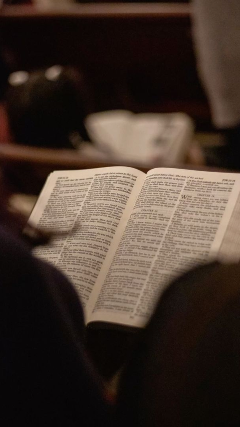 Parte 5: Celebrando el Paso Confiado